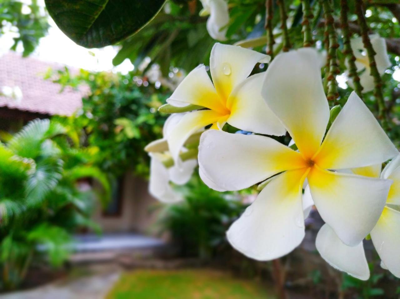 Angga Guest House เปมูเตรัน ภายนอก รูปภาพ
